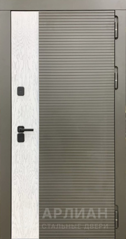 Фото «Дизайнерская шпонированная дверь в стиле модерн №744»